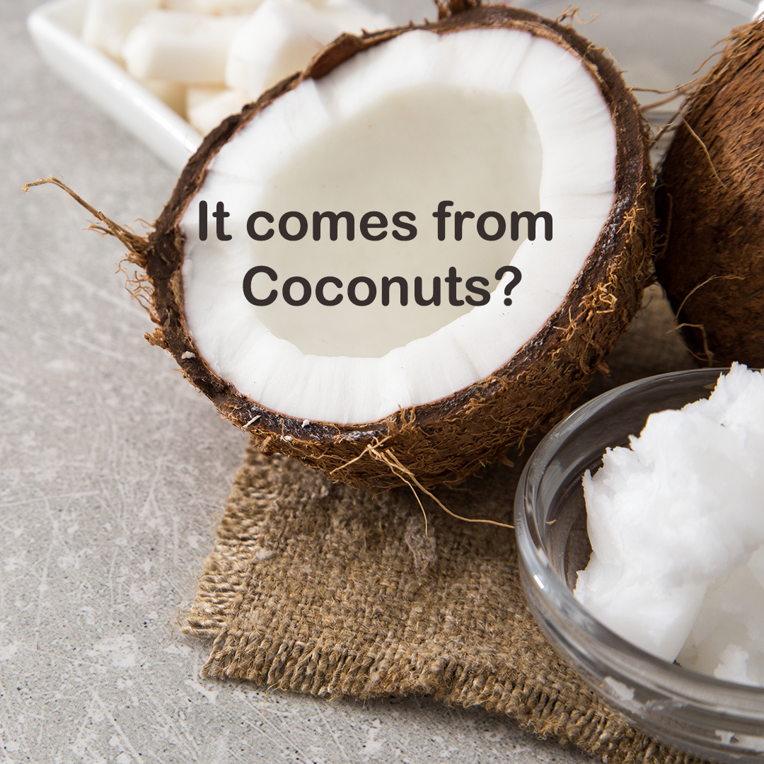 Sodium Cocoyl Isethionate: The Cleaner Side of Coconut Oil. - The