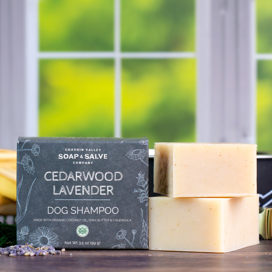 Organic Dog Shampoo - Cedarwood Lavender