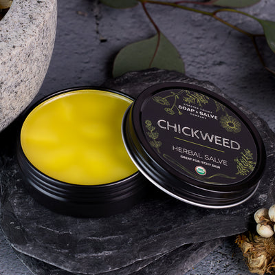 Organic Chickweed Salve