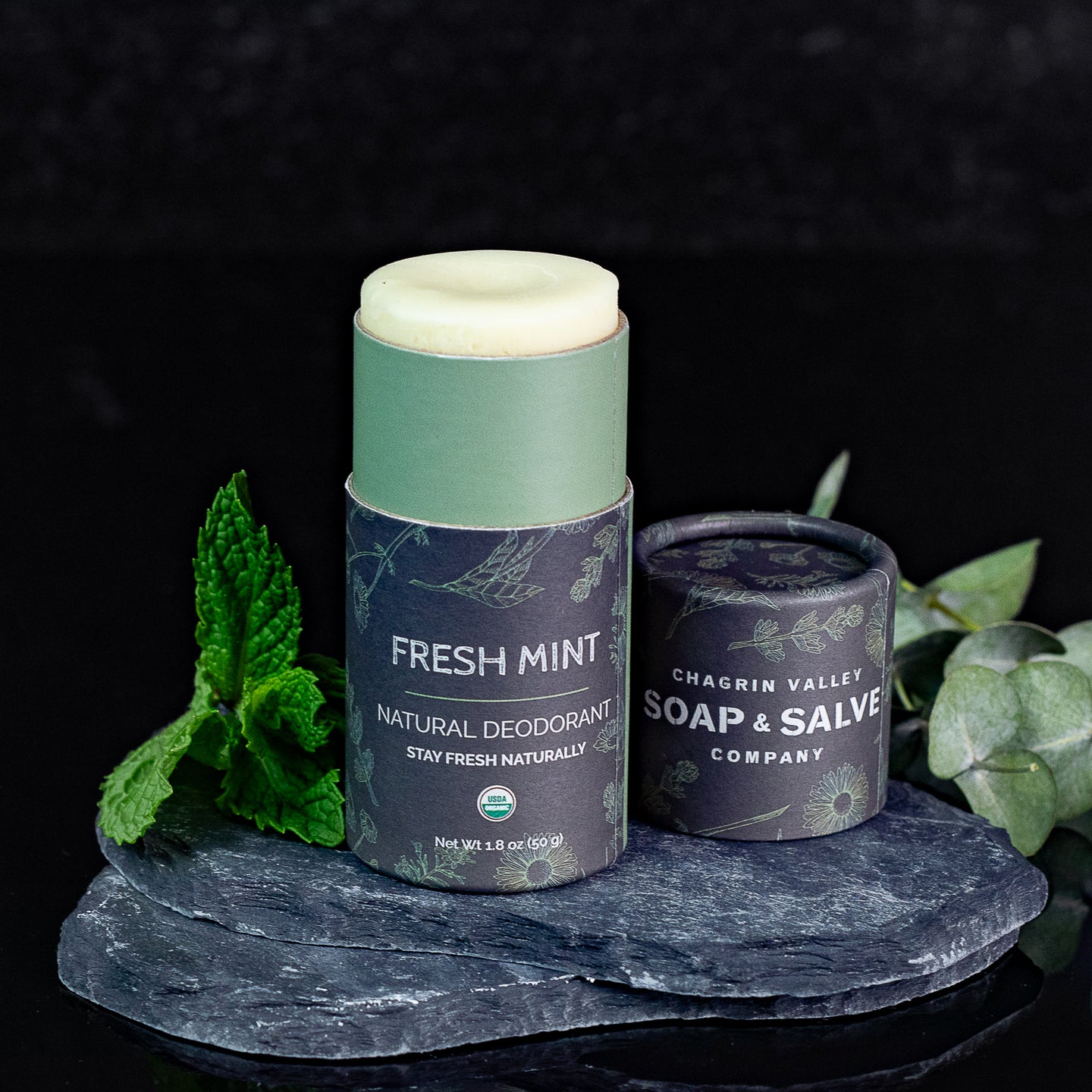 Deodorant: Stick Fresh Mint