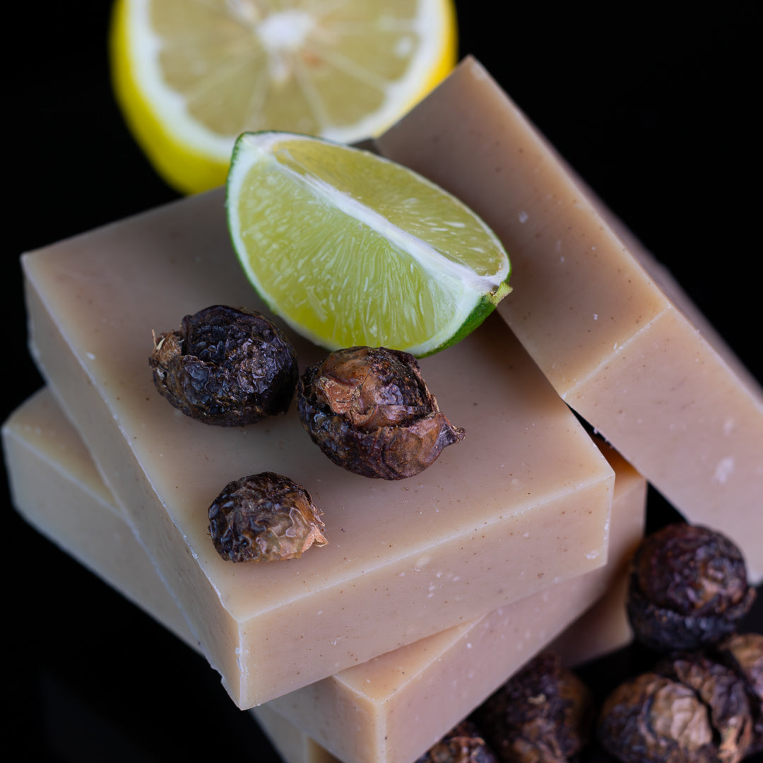 Shampoo Bar: Soapnuts Citrus Mint